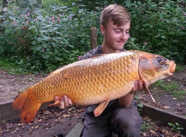 Lee Bambrdge with a bright 21lb 8oz ghost carp from Heron