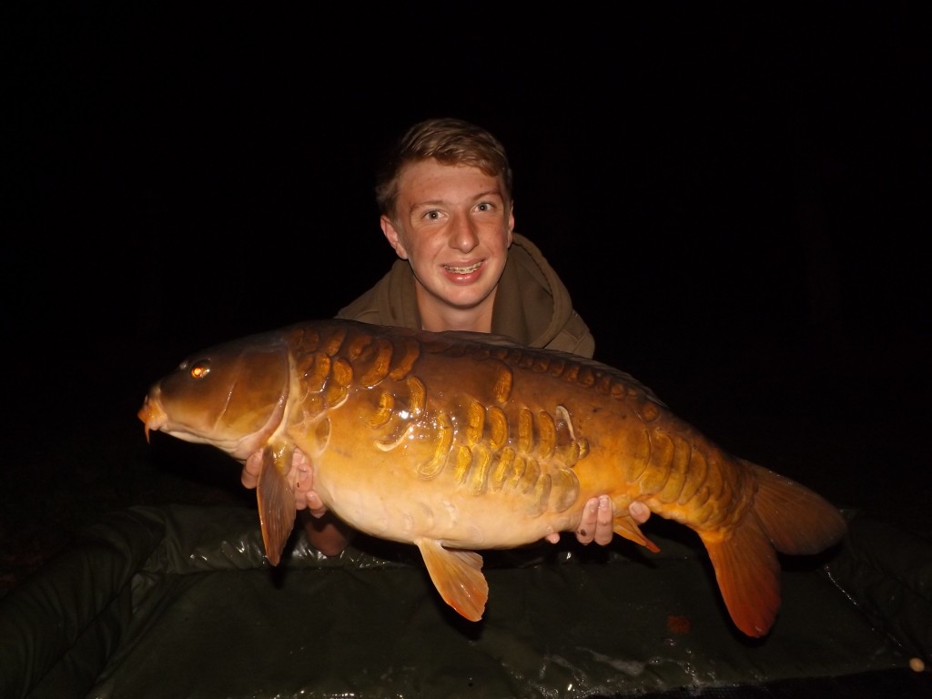 A lovely scaley mirror from Heron for Louie Donaldson