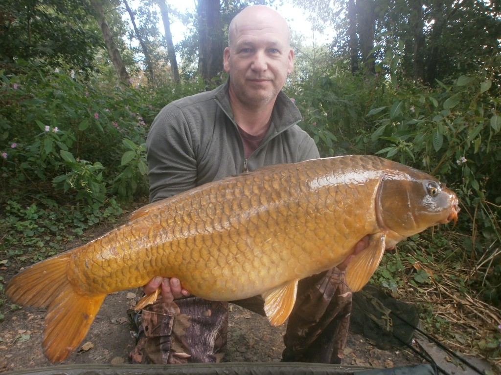 A nice 26lb 15oz ghost carp caught by Craig Wilson from the Carp Park swim on Heron last weekend