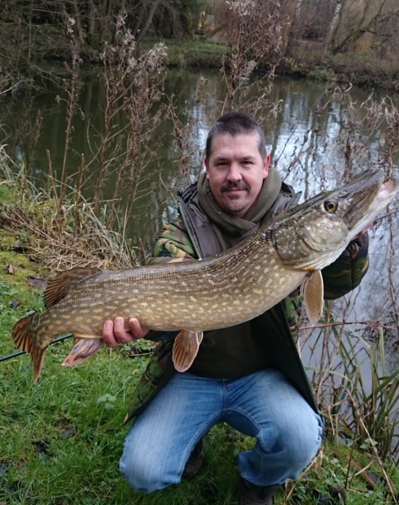 A hard fighting pike from Heron lake which fell to float fished mackerel tail