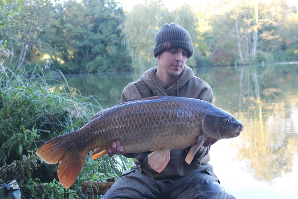 31lb 4 heron